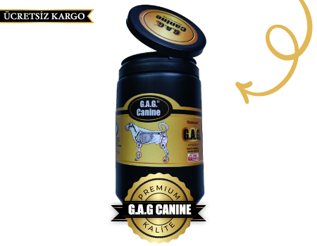 Promama G.A.G Canine Köpek Eklem Desteği Kilitli Kapak 500 GR