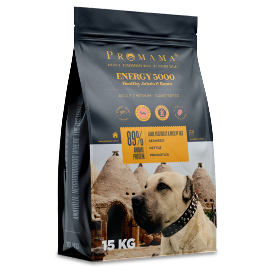 Promama Energy 5000 Yetişkin Köpek Maması 15 KG